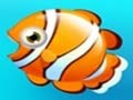Gioco Località di pesca  in linea