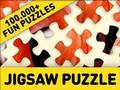 Gioco Puzzle: 100 Oltre 000 puzzle divertenti  in linea