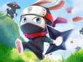 Gioco Coniglio Ninja  in linea