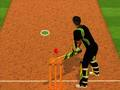 Gioco Sfida di pastella di cricket  in linea