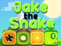 Gioco Jake il serpente  in linea