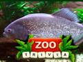 Gioco ZOO Curiosità  in linea