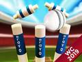 Gioco Mini cricket: Coppa del mondo del campionato a terra 2019 in linea