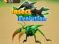 Gioco Evoluzione degli insetti  in linea