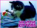 Gioco Sei piccoli gattini  in linea