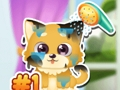 Gioco Cura del cucciolo divertente  in linea