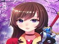 Gioco ANIME GIRL FANTASY DREST UP in linea