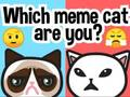 Gioco Quale gatto meme sei?  in linea