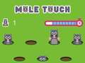 Gioco Tocco polare  in linea