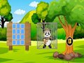 Gioco Salva il Panda Explorer  in linea