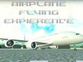 Gioco Esperienza di volo in aereo  in linea