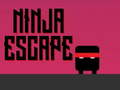 Gioco Fuga ninja  in linea