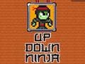 Gioco Su Giù Ninja  in linea