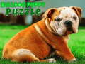 Gioco Puzzle del cucciolo di Bulldog  in linea