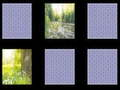 Gioco Memoria della natura  in linea