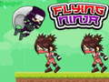 Gioco Ninja volante  in linea