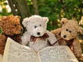 Gioco Puzzle con tre peluche  in linea