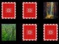 Gioco Memoria del bosco  in linea