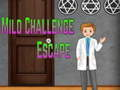 Gioco Amgel Mild Challenge Fuga  in linea