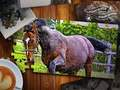 Gioco Puzzle Edizione Cavalli  in linea