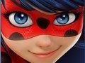 Gioco Stelle nascoste di coccinella  in linea