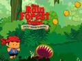 Gioco Racconti della foresta pluviale  in linea