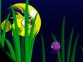 Gioco Flash Fish Freddie in linea