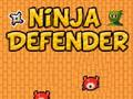 Gioco Difensore Ninja  in linea