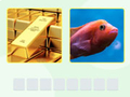 Gioco Picword in linea