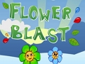 Gioco Esplosione di fiori  in linea
