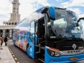 Gioco Fermata dell'autobus  in linea