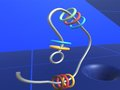 Gioco Fai gli anelli  in linea