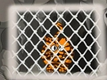 Gioco Fuga della tigre 1  in linea