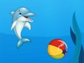 Gioco Spettacolo di delfini  in linea
