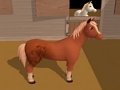 Gioco Ferro di cavallo  in linea