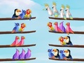 Gioco Puzzle di ordinamento degli uccelli  in linea