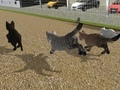 Gioco Corri Cat Cat Race  in linea