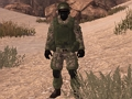 Gioco Soldato della Patria: Sahara  in linea
