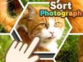 Gioco Ordina fotografia  in linea