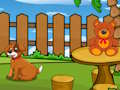 Gioco Fuga divertente dell'iguana  in linea