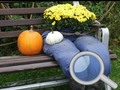 Gioco Giardino d'autunno Trova 100 farfalle  in linea