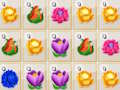 Gioco Fusione di fiori  in linea