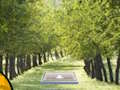 Gioco Coppia di Cat Escape  in linea