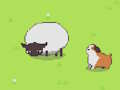 Gioco Wan Chase in linea