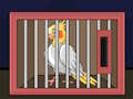 Gioco Libera l'uccello calopsitta  in linea