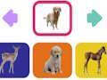 Gioco Cuccioli di animali  in linea