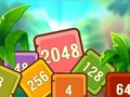 Gioco Cubi tropicali 2048  in linea