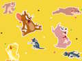 Gioco Lo spettacolo di Tom e Jerry Trovalo!  in linea