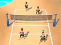 Gioco Beach volley 3D  in linea