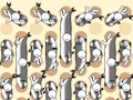 Gioco Raccolta del pesce  in linea
